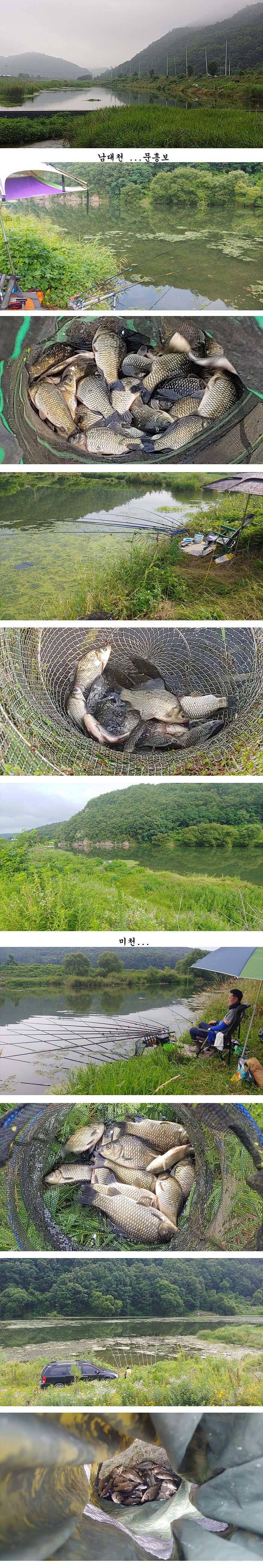 의성권 조황입니다 (조황조행기 - 특파원조황)