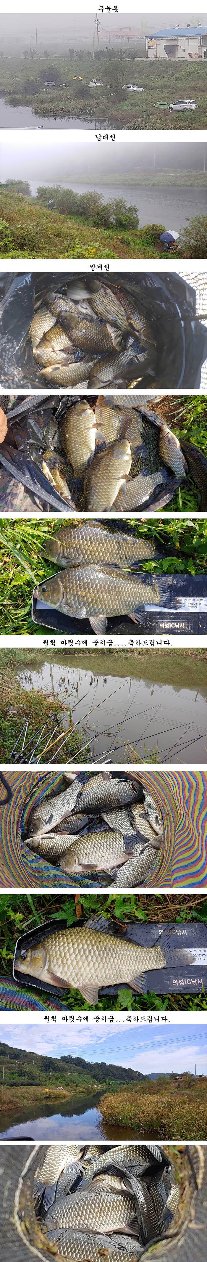 민물대물낚시의 메카 경북북부권 (조황조행기 - 특파원조황)