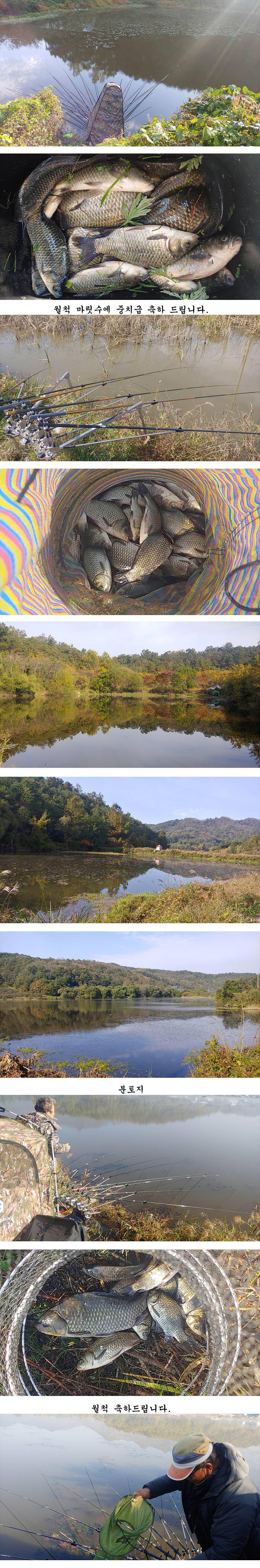 하루가 다르게 수초가 삭아내리는 경북북부권 (조황조행기 - 특파원조황)