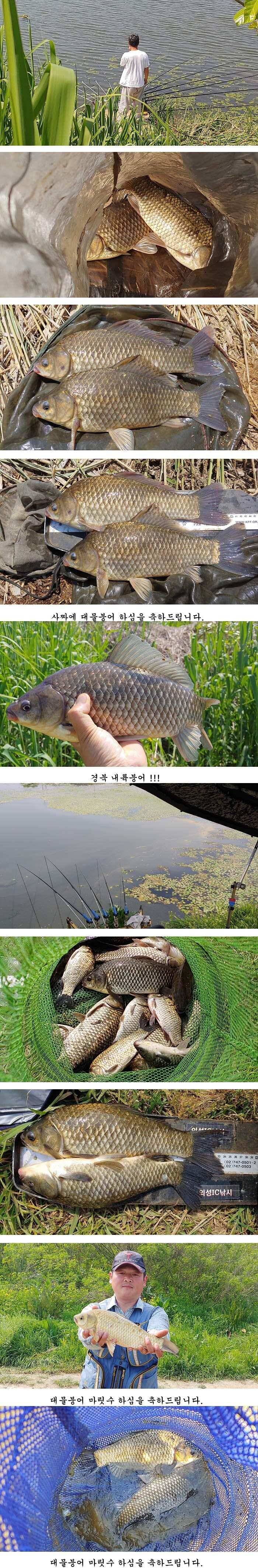 배수걱정없는 의성권북부와동부 (조황조행기 - 특파원조황)