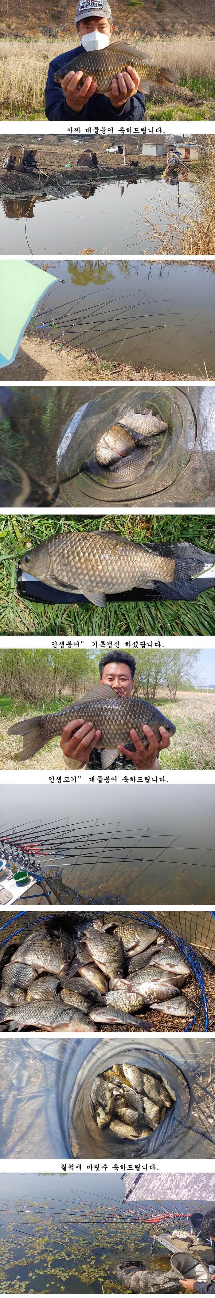 경북북부권 1차2차산란이 이어지고대물사짜 조황도이어지고 (조황조행기 - 특파원조황)