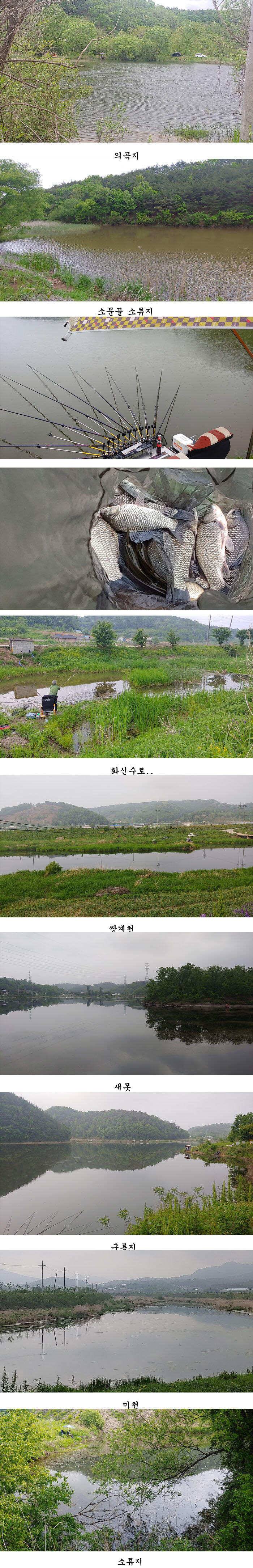 배수걱정없는 의성서부권 동부권 북부권 (조황조행기 - 특파원조황)