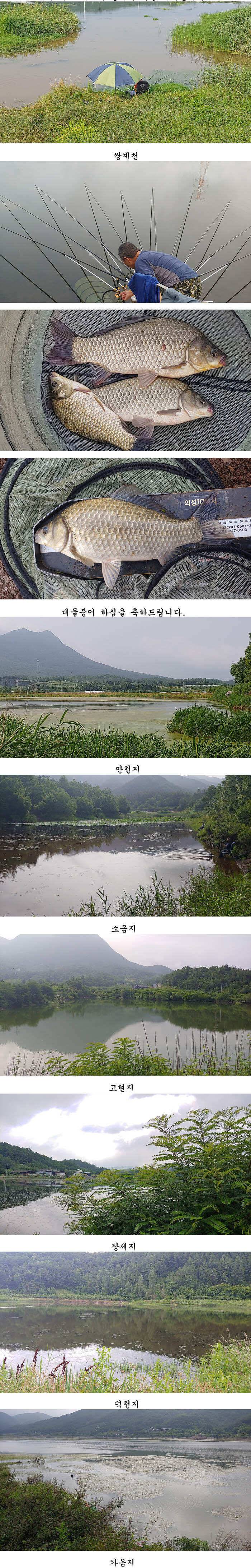 더위속에서도 월척들 (조황조행기 - 특파원조황)