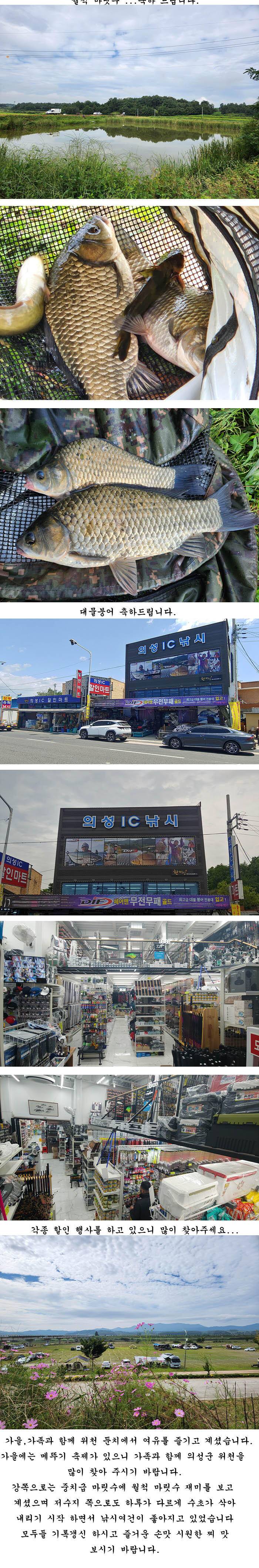 경북북부권 조황입니다 (조황조행기 - 특파원조황)