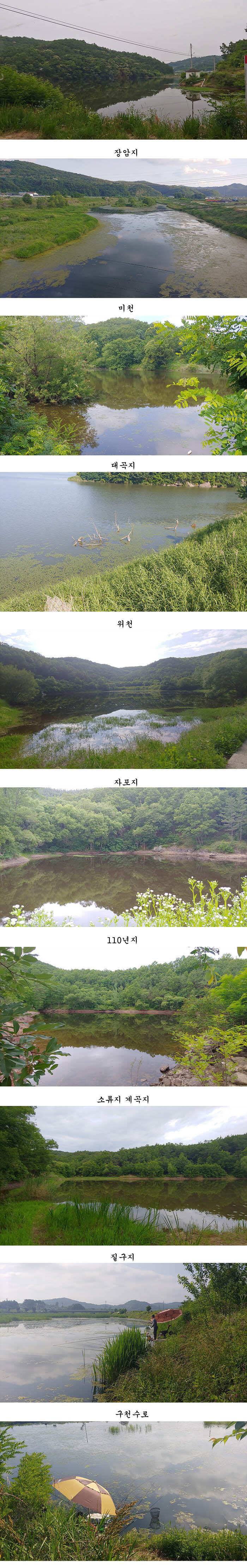 경북 중부권 조황입니다 (조황조행기 - 특파원조황)