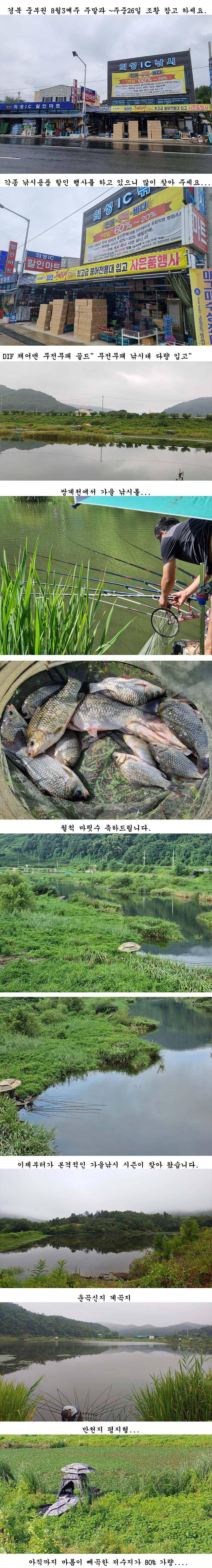 경북북부권 가을붕어낚시의 시작입니다 (조황조행기 - 특파원조황)
