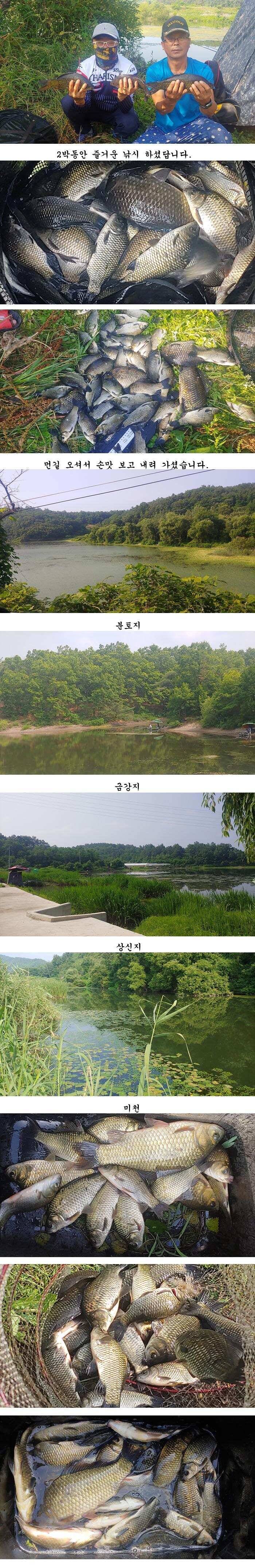 의성권 조황입니다 (조황조행기 - 특파원조황)