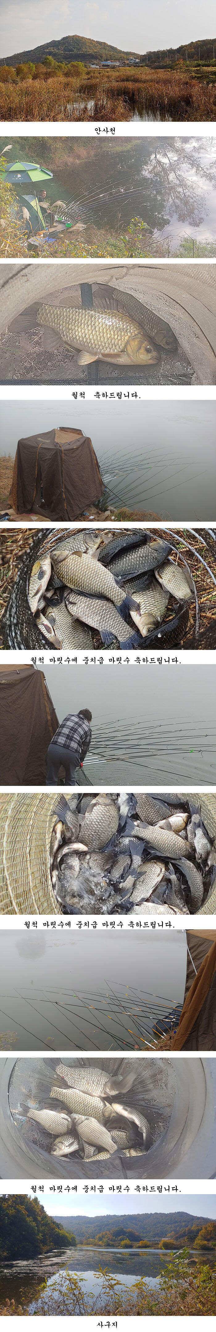 수초가삭아내리고 대물시즌 막바지 경북북부권 (조황조행기 - 특파원조황)