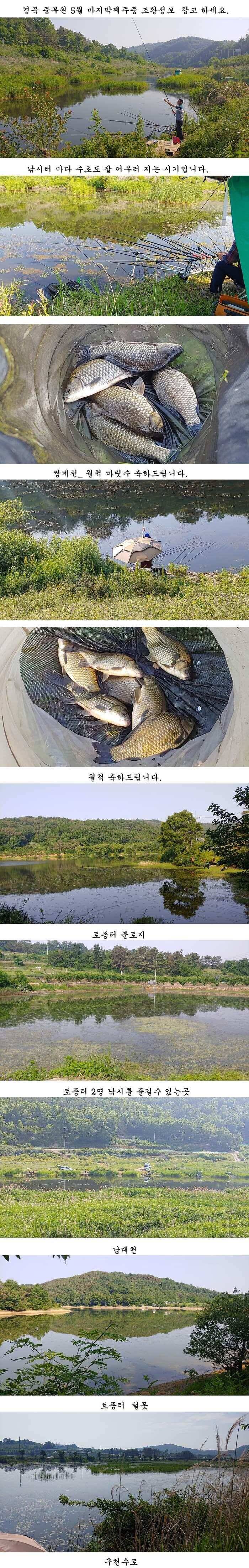 배수걱정없는 의성권 (조황조행기 - 특파원조황)