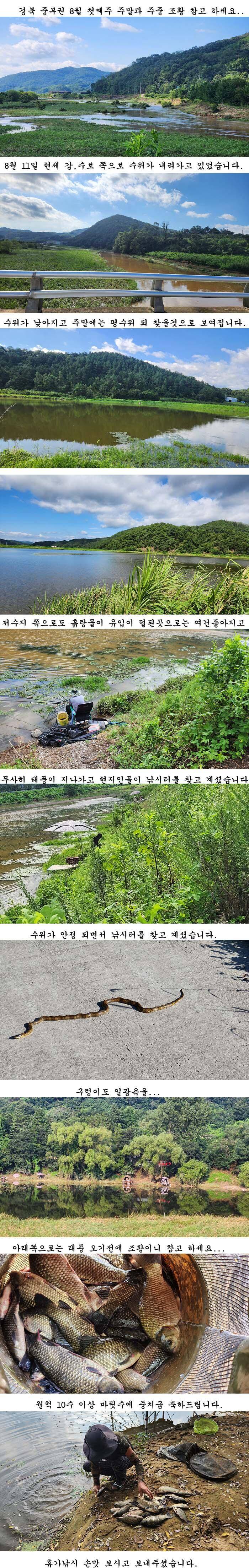 경북권 조황입니다 (조황조행기 - 특파원조황)