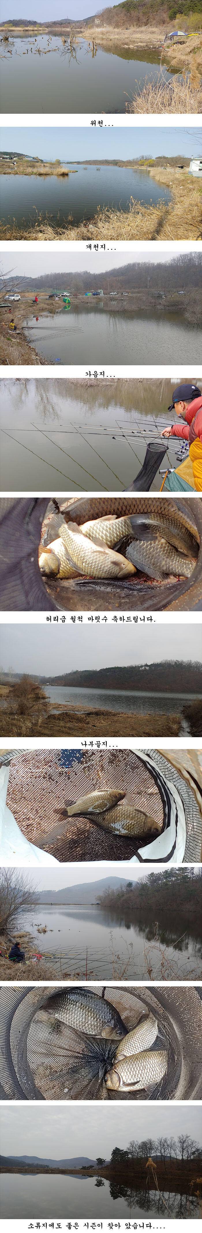 경북북부권 부분적인산란중 대물들 (조황조행기 - 특파원조황)