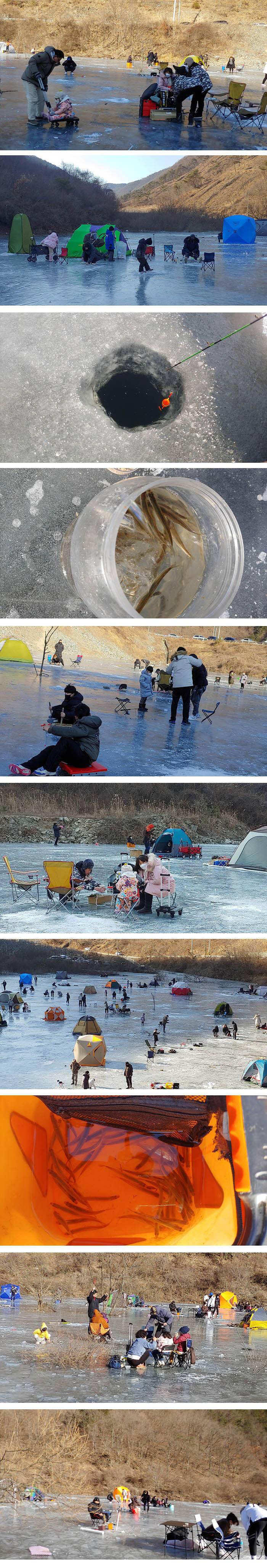 경북의성 빙어얼음낚시 대박잔치 (조황조행기 - 특파원조황)