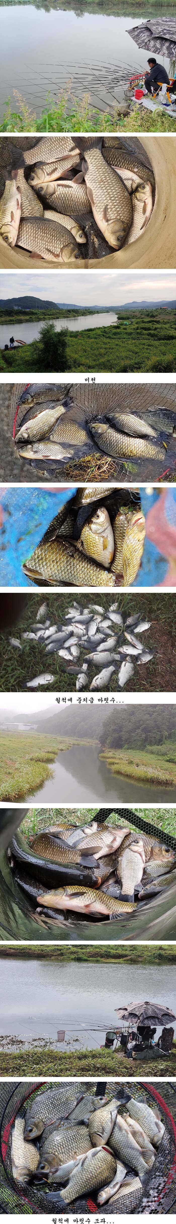 경북북부권 가을 대물낚시 시즌이 시작되고 (조황조행기 - 특파원조황)