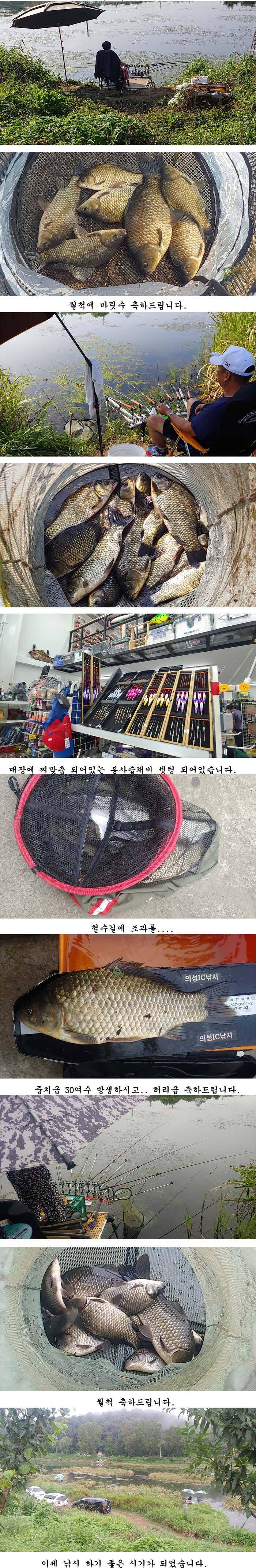 경북의성권 조황입니다 (조황조행기 - 특파원조황)