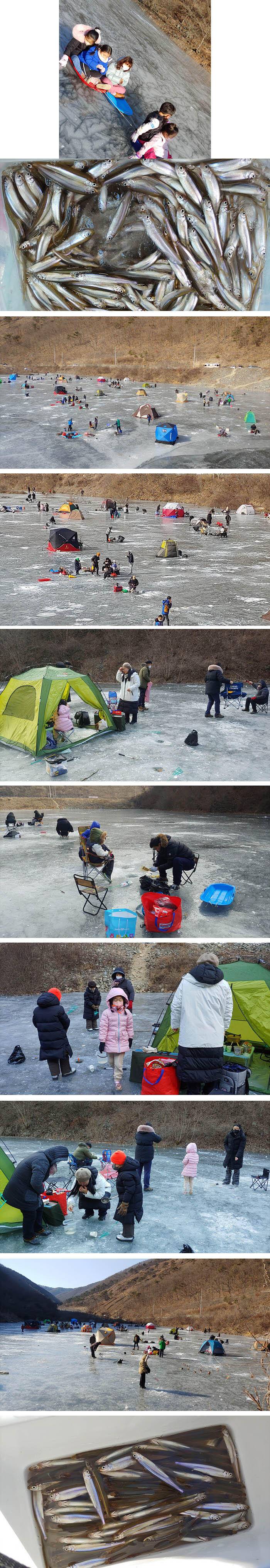 경북의성 빙어얼음낚시 대박잔치 (조황조행기 - 특파원조황)
