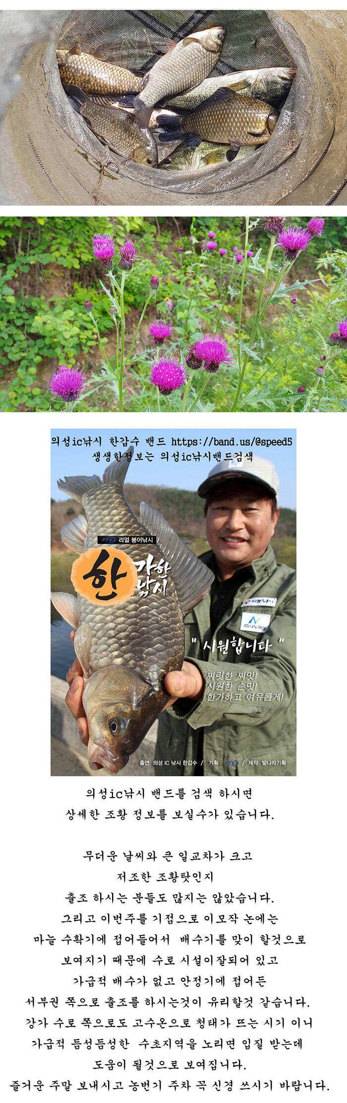 경북 중부권 조황입니다 (조황조행기 - 특파원조황)