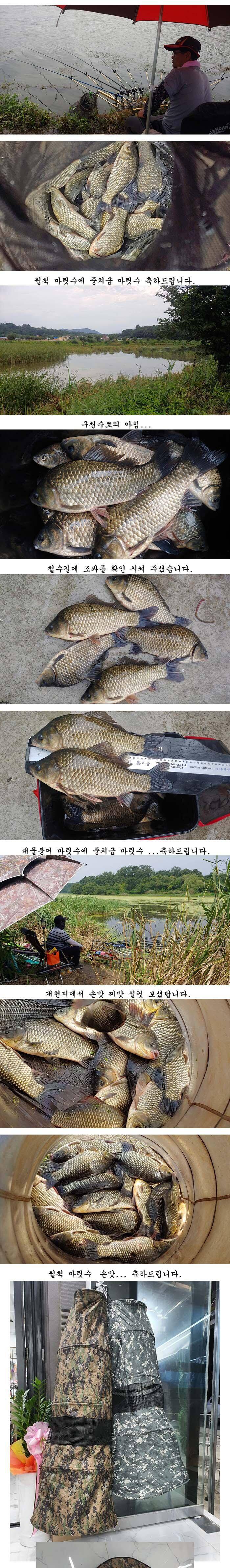 의성권 조황입니다 (조황조행기 - 특파원조황)