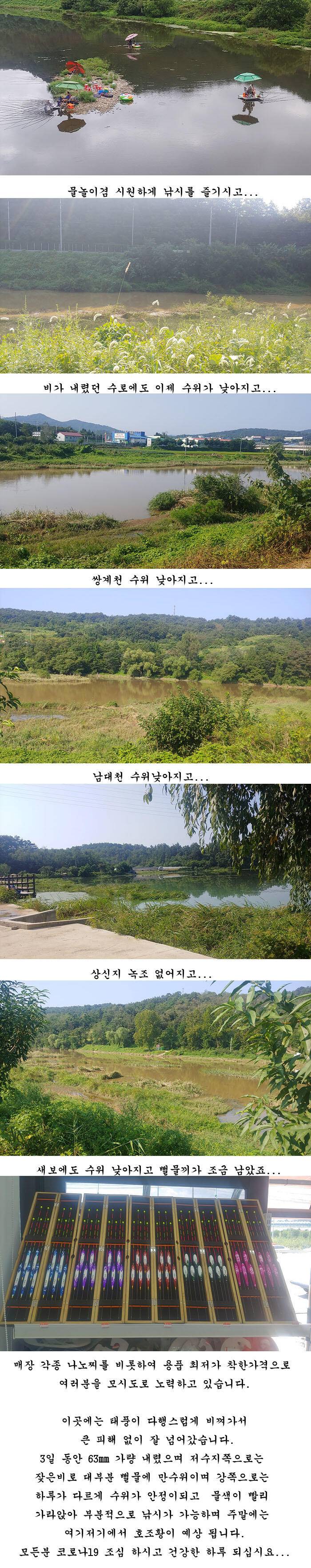 경북의성권 조황입니다 (조황조행기 - 특파원조황)