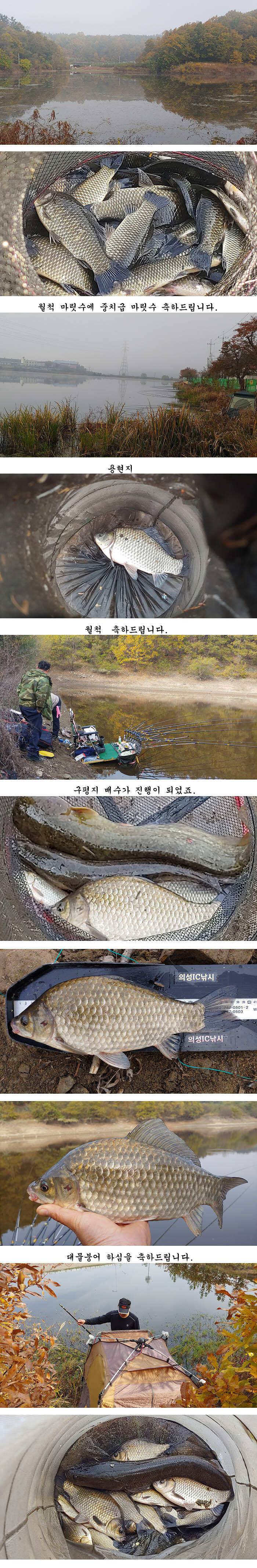 수초가삭아내리고 대물시즌 막바지 경북북부권 (조황조행기 - 특파원조황)