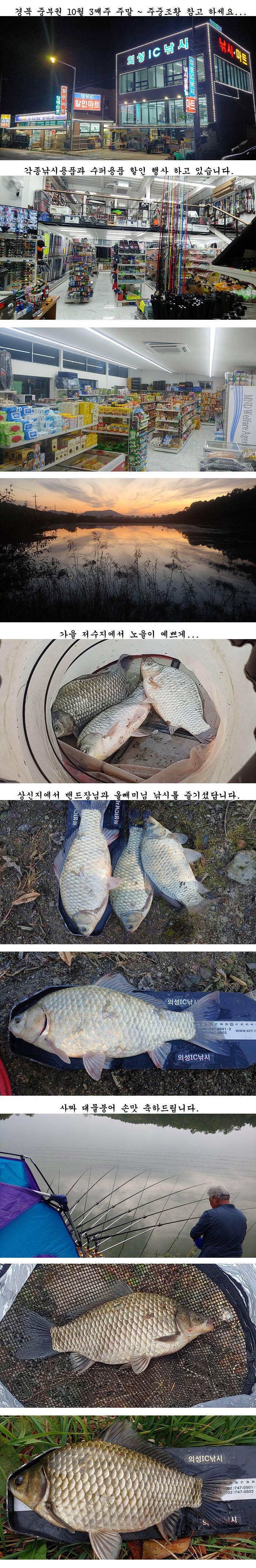 하루가 다르게 수초가 삭아내리는 경북북부권 (조황조행기 - 특파원조황)