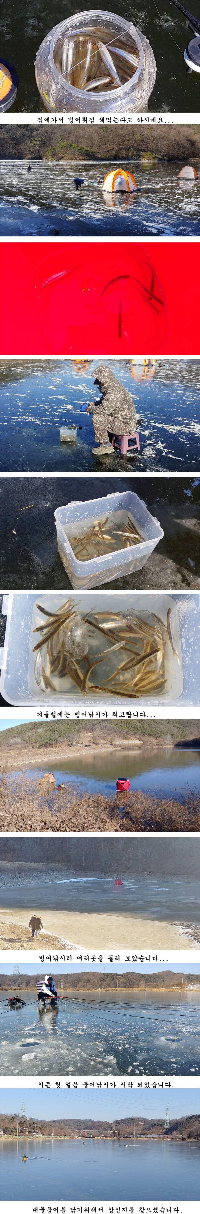 경북북부권 얼음낚시 빙어얼음낚시 시작되었습니다 (조황조행기 - 특파원조황)