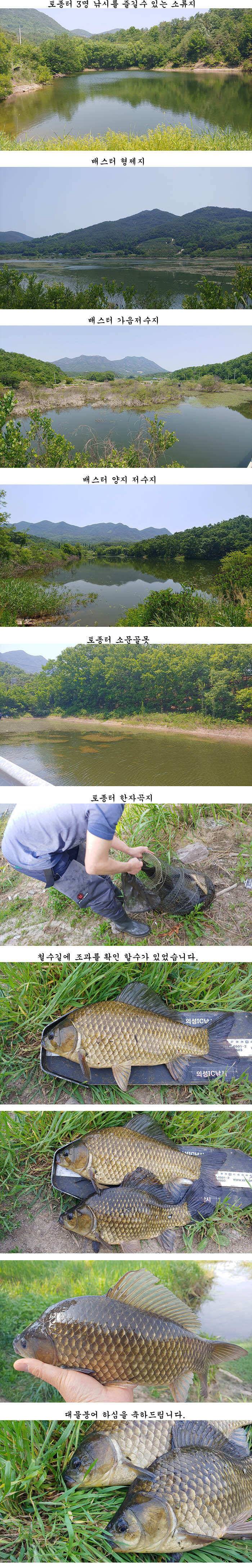 수로물이유입되는 의성서부권 배수걱정없는 의성동부와 북부 저수지들 (조황조행기 - 특파원조황)
