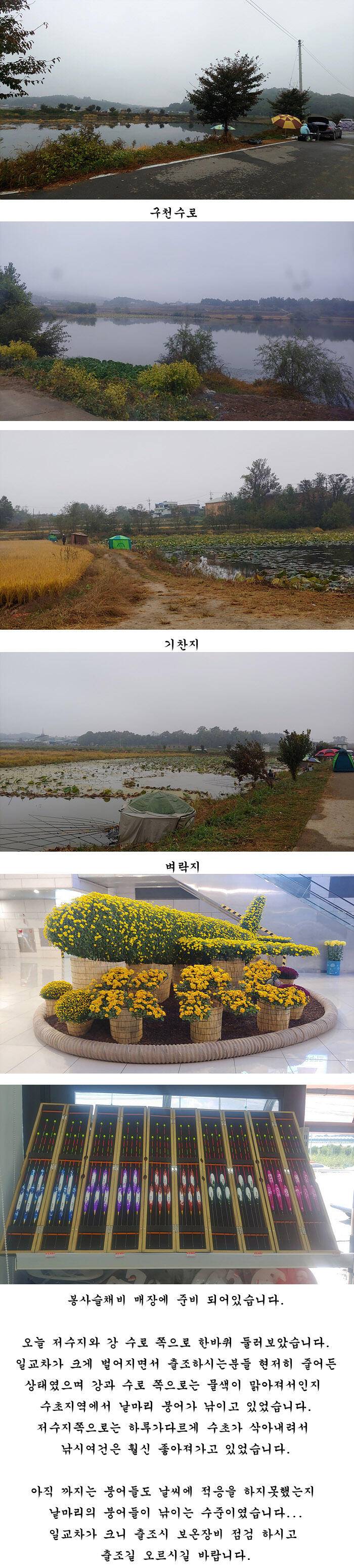 하루가 다르게 수초가 삭아내리는 경북북부권 (조황조행기 - 특파원조황)