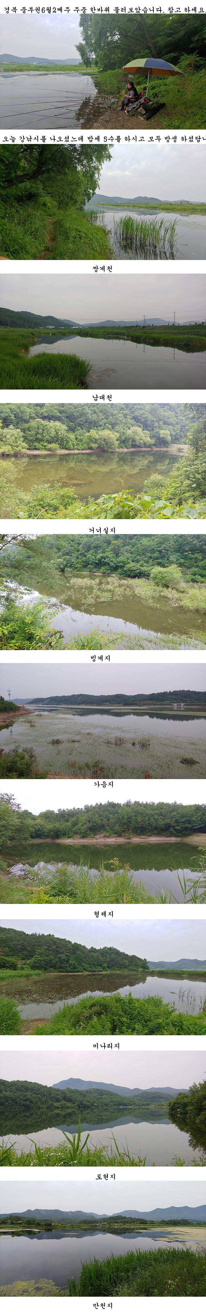경북 중부권 조황입니다 (조황조행기 - 특파원조황)