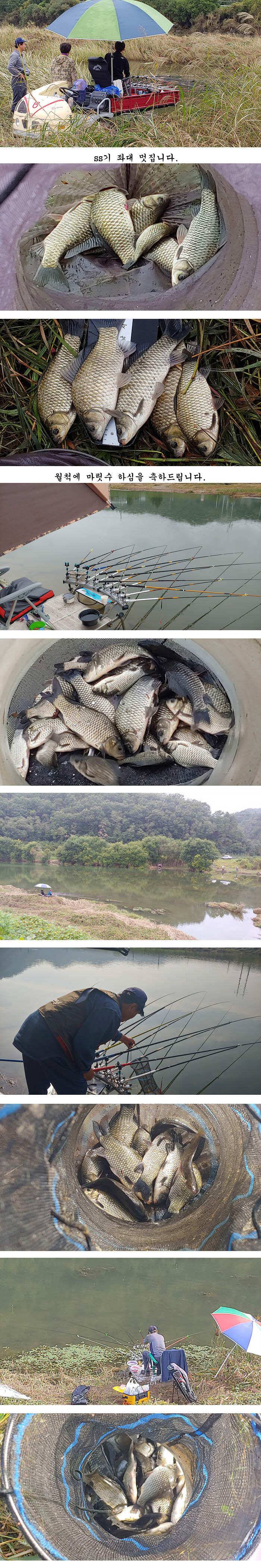 가을 대물낚시 본격적으로 시작이 되었습니다 (조황조행기 - 특파원조황)