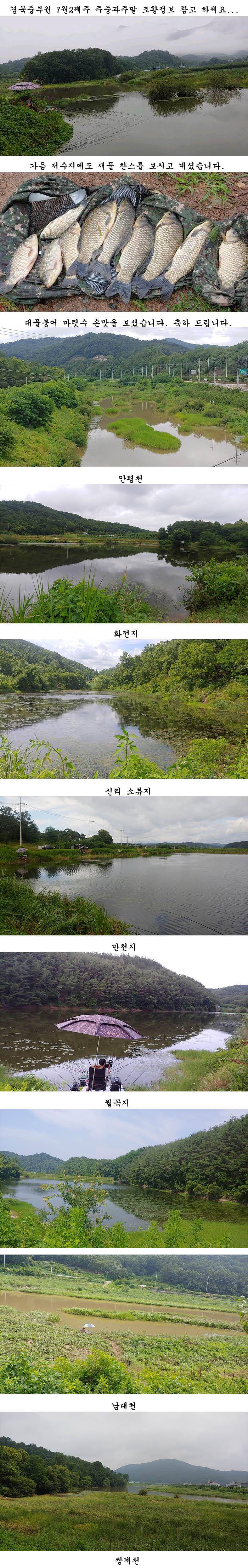 경북북부권 조황입니다 (조황조행기 - 특파원조황)