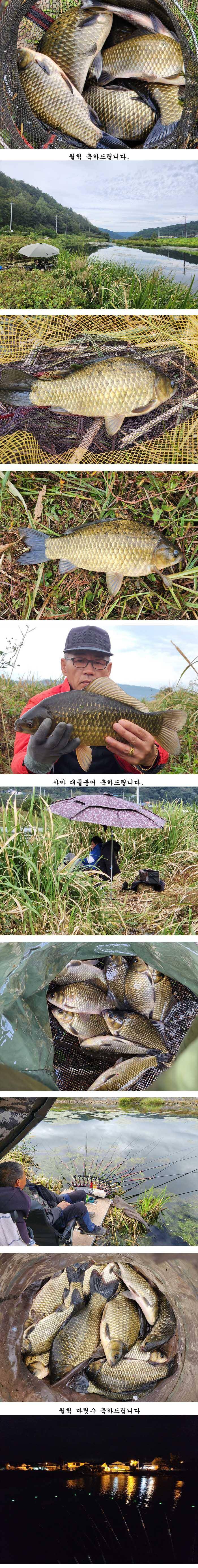 경북북부권 사짜그리고대물들 (조황조행기 - 특파원조황)
