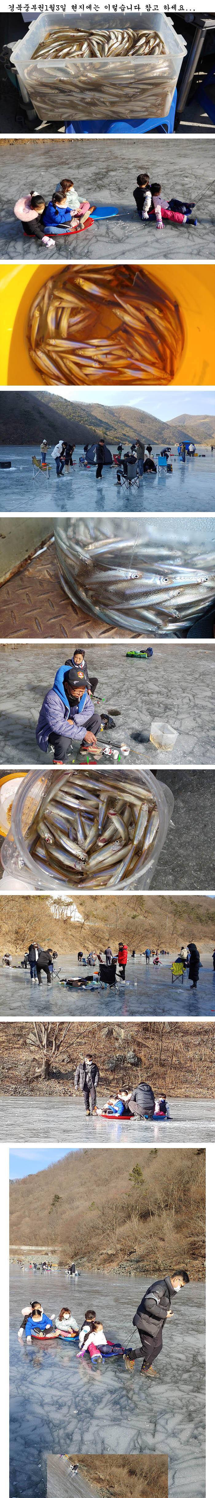 경북의성 빙어얼음낚시 대박잔치 (조황조행기 - 특파원조황)