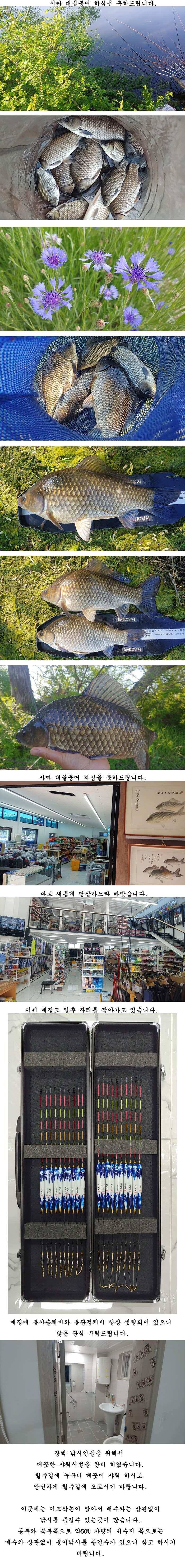 배수걱정없는 의성서부권 동부권 북부권 (조황조행기 - 특파원조황)
