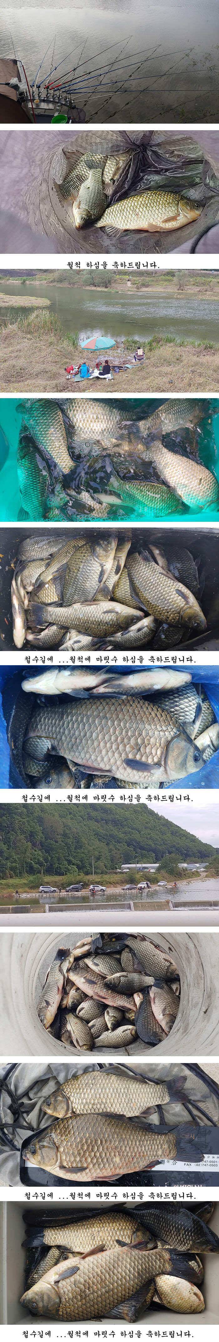 가을 대물낚시 본격적으로 시작이 되었습니다 (조황조행기 - 특파원조황)