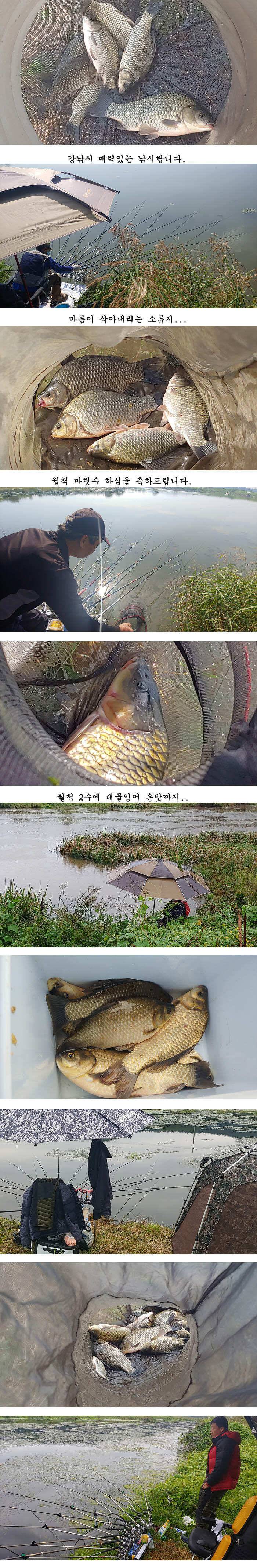 경북북부권 가을대물낚시 시즌 다시 시작 (조황조행기 - 특파원조황)