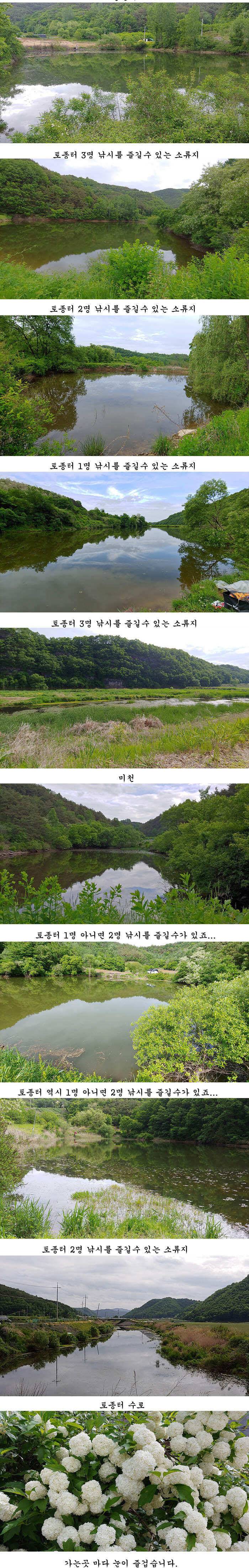 수로물이유입되는 의성서부권 배수걱정없는 의성동부와 북부 저수지들 (조황조행기 - 특파원조황)