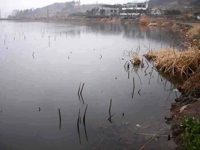 청도권조황입니다 (조황조행기 - 특파원조황)