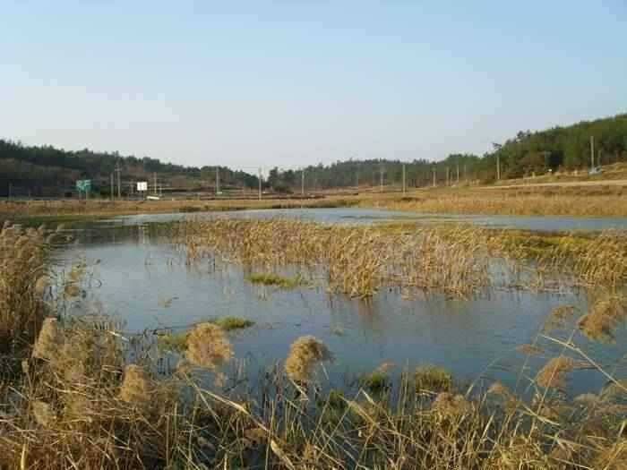 12월2주차 고흥권조황소식 (조황조행기 - 특파원조황)