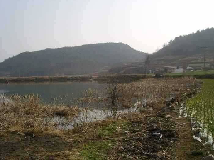 3월2주차 고흥권조황소식 (조황조행기 - 특파원조황)