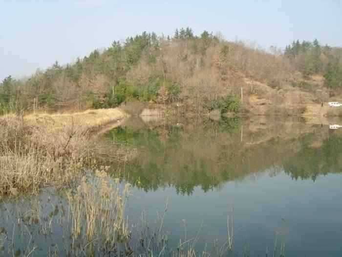 2008년 1월1주차 고흥권소식 (조황조행기 - 특파원조황)