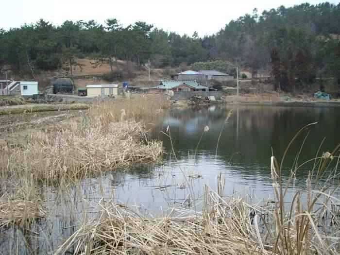 2월2주차 고흥권조황소식 (조황조행기 - 특파원조황)