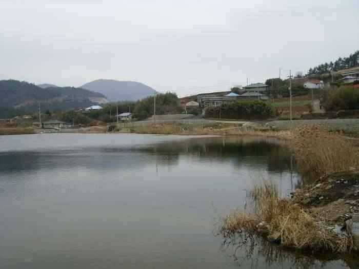 3월2주차 고흥권조황소식 (조황조행기 - 특파원조황)