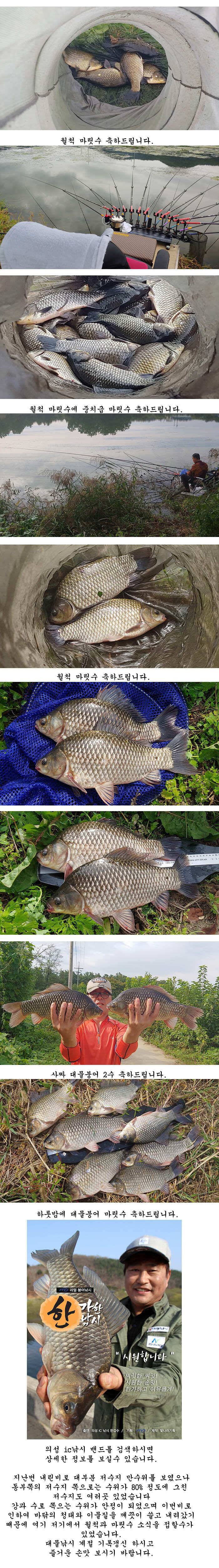 경북북부권4짜와 대물들 (조황조행기 - 특파원조황)