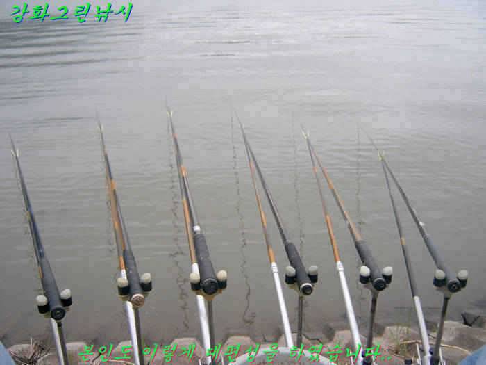 강화 석모도 다녀왔습니다 (조황조행기 - 특파원조황)