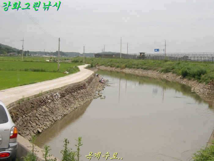 강화 수로권 조황입니다 (조황조행기 - 특파원조황)