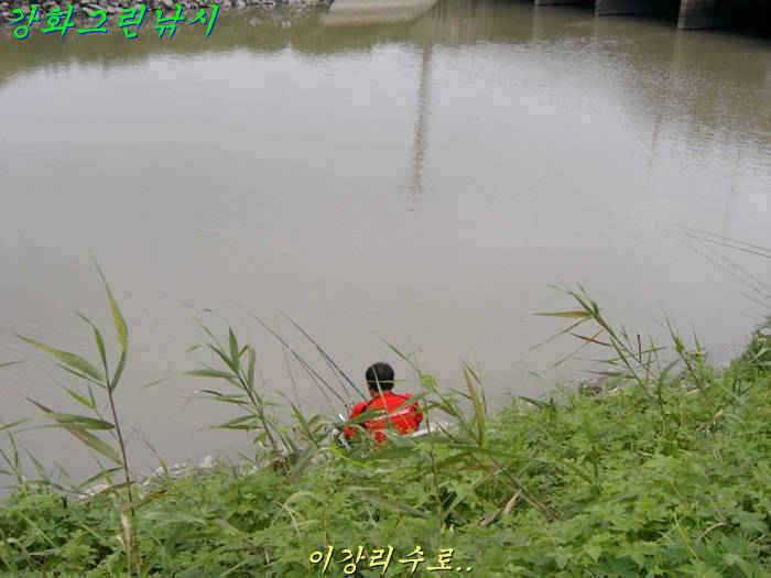 강화 수로권 조황입니다 (조황조행기 - 특파원조황)