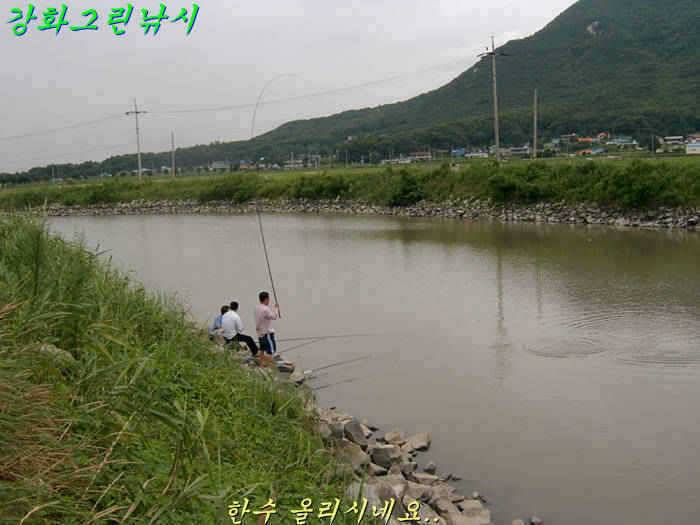 강화 수로권 조황입니다 (조황조행기 - 특파원조황)