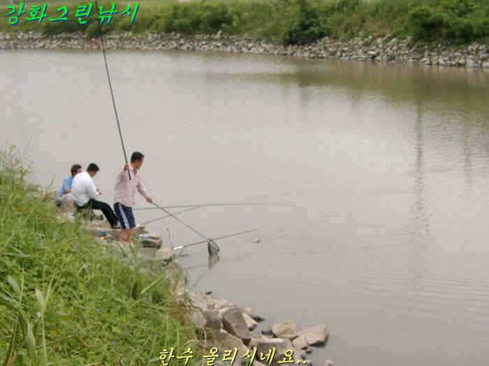 강화 수로권 조황입니다 (조황조행기 - 특파원조황)