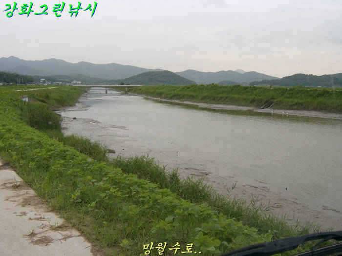 강화 수로권 조황입니다 (조황조행기 - 특파원조황)