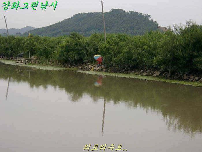 강화 수로권 조황입니다 (조황조행기 - 특파원조황)